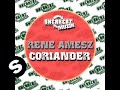 Rene Amesz - Coriander (Original mix)