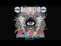 Bassnectar - Heads Up [2011 Version] [FULL OFFICIAL]