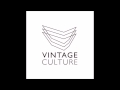 Vintage Culture - Hollywood(original mix)
