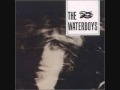 The Waterboys - Savage Earth Heart