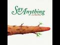 Say Anything - Admit It