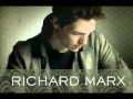 Richard Marx - Wild Life