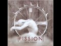Fission - chains