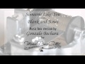 Someone Like You by Blank and Jones - Music Box Version