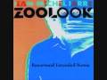Zoolook (Razormaid Extended Remix) - Jean Michel Jarre