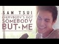 Everybody's Got Somebody But Me (Hunter Hayes ft. Jason Mraz) - Sam Tsui Cover | Sam Tsui