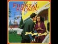 Frenzal Rhomb - Coming Home