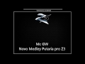 Mc GW - Novo Medley Putaria pro Z3 [DJ R7]