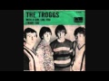 The Troggs - With a Girl like You