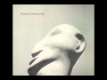 Roedelius - Kamee