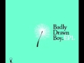 No Point in Living (Reprise) - Badly Drawn Boy