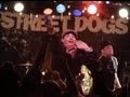 Street Dogs - Savin Hill Crosscheck Records