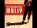 Flogging Molly - Life In A Tenement Square - 05