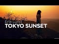 Erik Lund - Tokyo Sunset