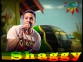 Shaggy - Feel The Rush