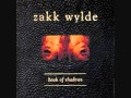 Zakk Wylde - Way Beyond Empty.wmv