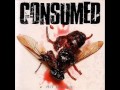Consumed - Do The Duchess