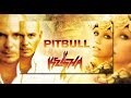 Pitbull ft  Ke$ha - Timber (lyrics)
